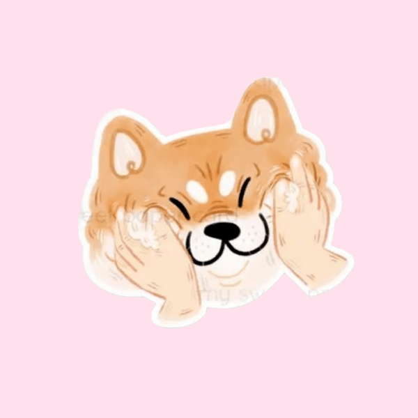 My Sweet Paper Card • Vinyylitarra • Shiba Face
